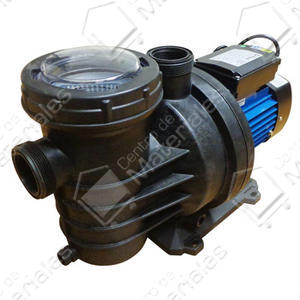 Motorarg Bomba Autocebante Pileta Pool 100m 220v 1hp
