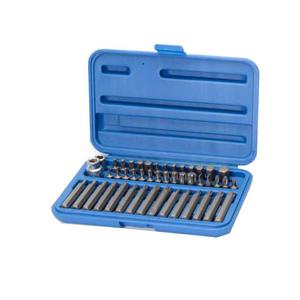 Bremen Set  46 Piezas Puntas Ph - Plana -torx - Allen - Multi Estria