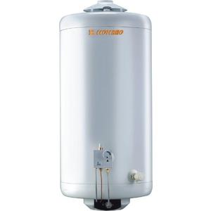 Termotanque Ecotermo 100 Lt Populi Gas Natural Carga Superior